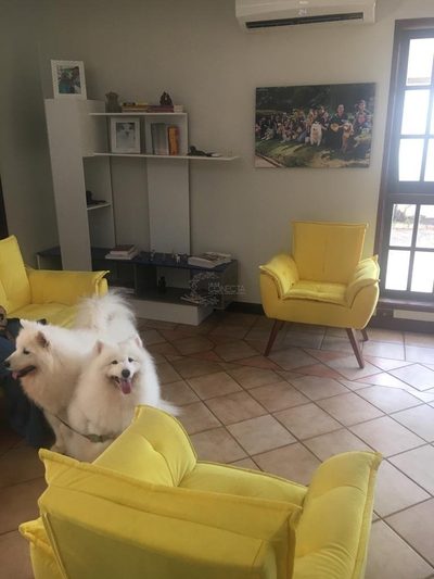 Casa Comercial, 269 m² - Foto 3