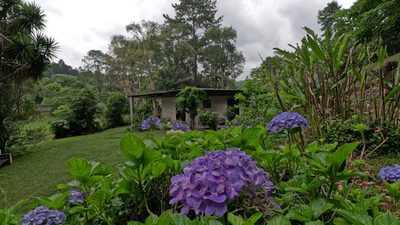 Chácara - Foto 3