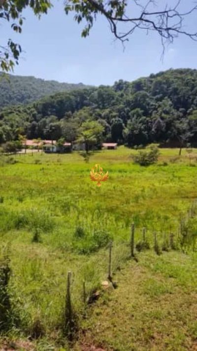 Terreno, 6600 m² - Foto 4