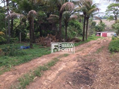 Chácara, 3 quartos, 5000 m² - Foto 4
