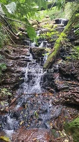 Sítio, 1 quarto, 2 hectares - Foto 2