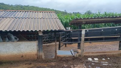 Fazenda, 19 hectares - Foto 3