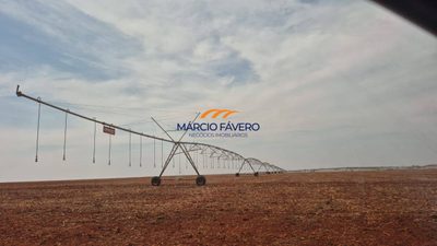 Fazenda, 837 hectares - Foto 4