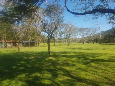 Terreno, 4 hectares - Foto 3