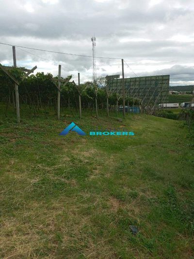 Terreno, 1 hectares - Foto 4