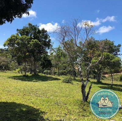 Terreno, 2 hectares - Foto 3