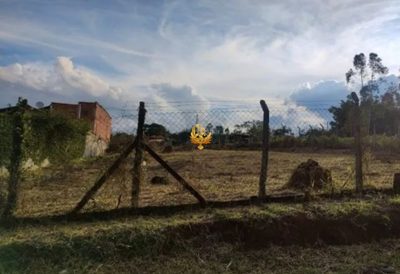 Terreno, 1000 m² - Foto 4