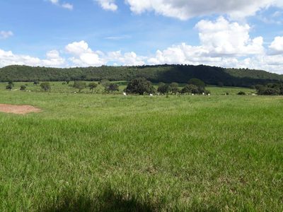 Terreno, 115 hectares - Foto 3