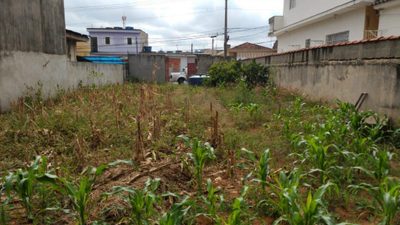Terreno, 340 m² - Foto 5