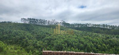 Terreno, 9263 hectares - Foto 4