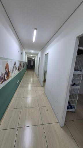Loja-Salão, 150 m² - Foto 5