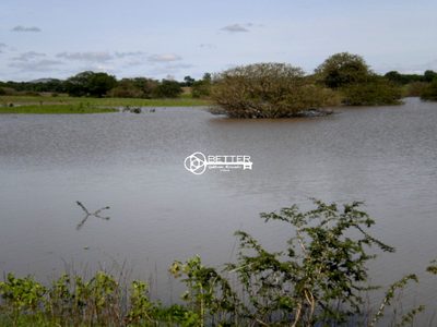 Fazenda, 9500 m² - Foto 1