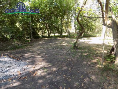 Terreno, 600 m² - Foto 3