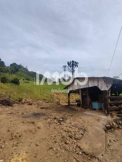 Chácara, 11 hectares - Foto 4