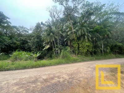 Terreno, 1 hectares - Foto 5