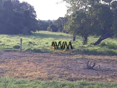 Fazenda, 2202 hectares - Foto 5