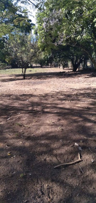 Terreno - Foto 2