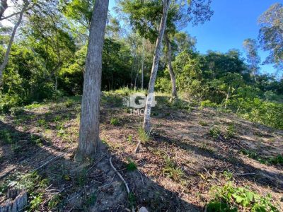 Terreno, 360 m² - Foto 4