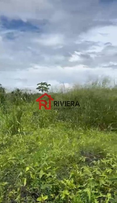 Loteamento e Condomínio, 1 hectares - Foto 2