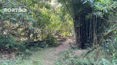 Terreno, 2 hectares - Foto 1