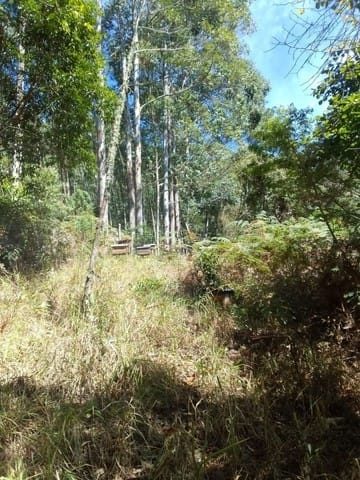 Terreno, 1200 m² - Foto 1