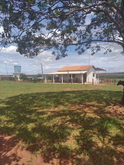 Fazenda, 10000 m² - Foto 3