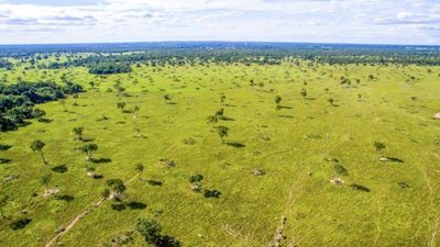 Fazenda - Foto 5