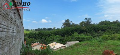 Terreno, 303 hectares - Foto 4