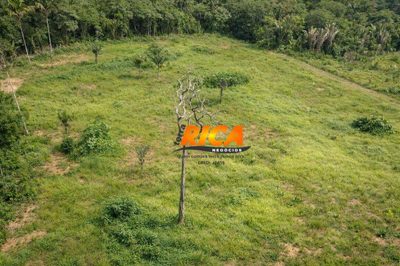 Fazenda, 200 hectares - Foto 3
