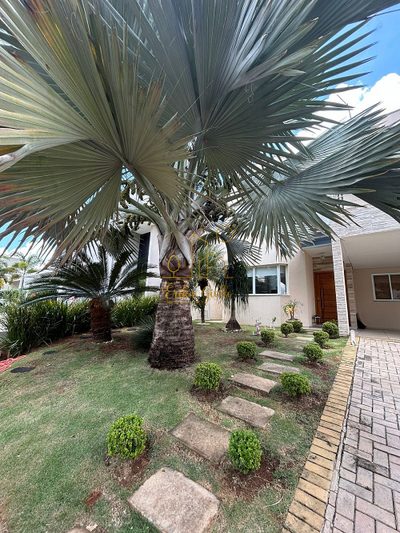 Casa, 3 quartos, 480 m² - Foto 3