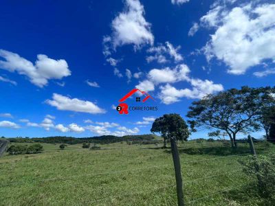Fazenda, 249 hectares - Foto 3