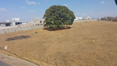 Terreno, 4 hectares - Foto 3