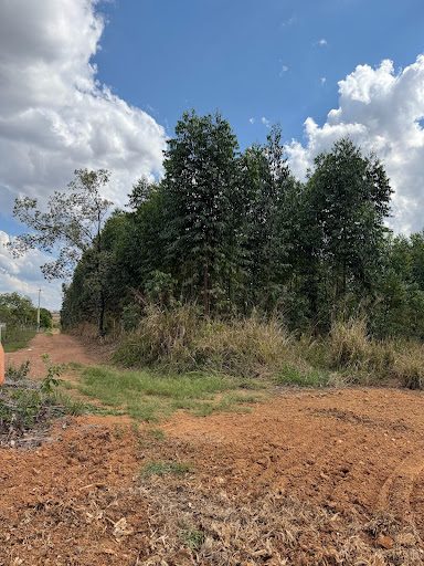 Terreno, 3880 m² - Foto 4