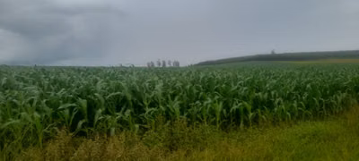 Chácara, 1 quarto, 400 hectares - Foto 1