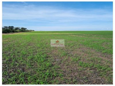 Fazenda, 8750 m² - Foto 2
