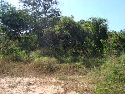 Terreno, 3742 m² - Foto 2