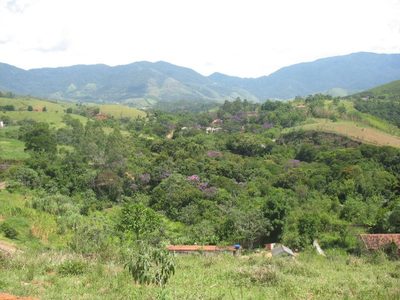 Terreno, 2 hectares - Foto 5