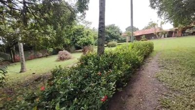 Terreno, 5000 m² - Foto 4