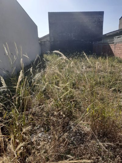 Terreno, 250 m² - Foto 1
