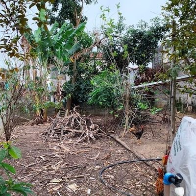 Terreno, 250 m² - Foto 4