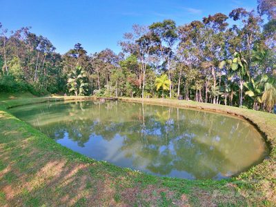 Sítio, 2 quartos, 8 hectares - Foto 3