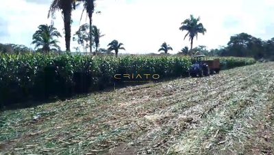 Chácara, 2 hectares - Foto 3