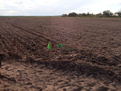 Prédio Inteiro, 2037 m² - Foto 4