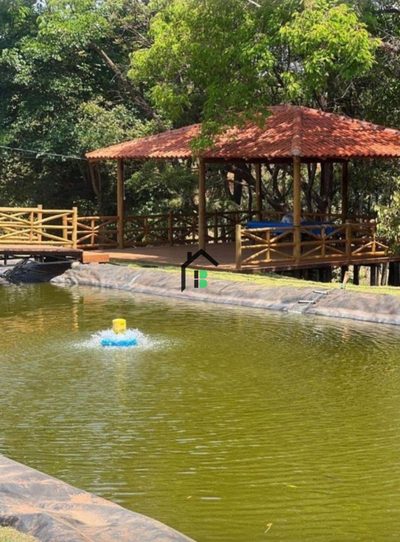 Chácara, 5 quartos, 3 hectares - Foto 4
