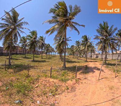 Terreno, 2 hectares - Foto 5