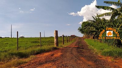 Sítio, 10000 m² - Foto 3