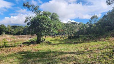 Loteamento e Condomínio, 4338 m² - Foto 4