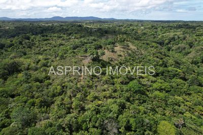 Sítio, 18 hectares - Foto 3