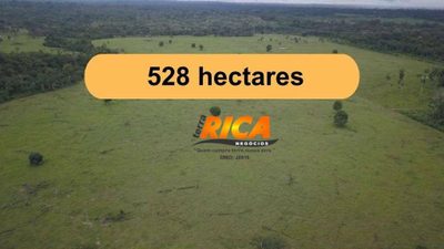 Fazenda, 528 hectares - Foto 1