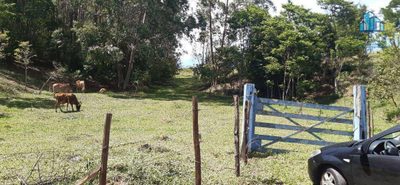Terreno, 4 hectares - Foto 1